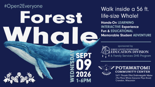 Forest Whales Exploration Event